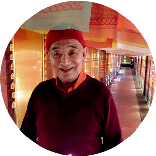 Tarthang Tulku Rinpoche